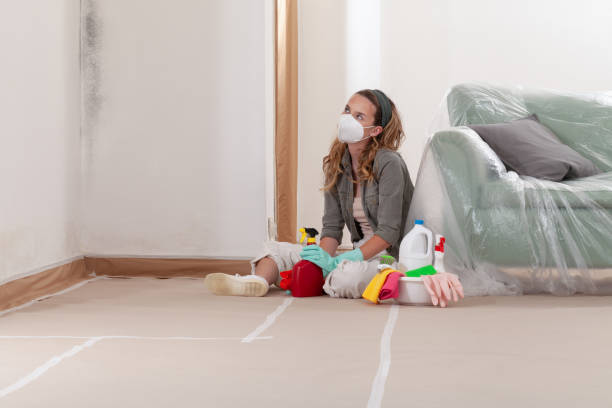 Reliable Mold Remediation contractor in Fairfield, IL by WQB Mold Removal
